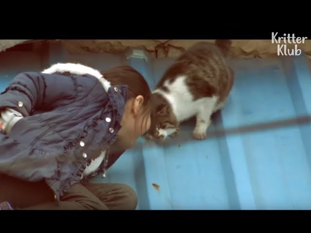 Girl Stood By Helpless Cat For 3 Years.. And The Tearful Rescue | Kritter Klub