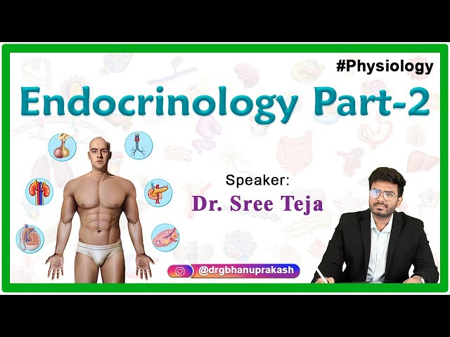 Endocrine Physiology - Part 2 || Physiology video lectures By Dr. Sree Teja