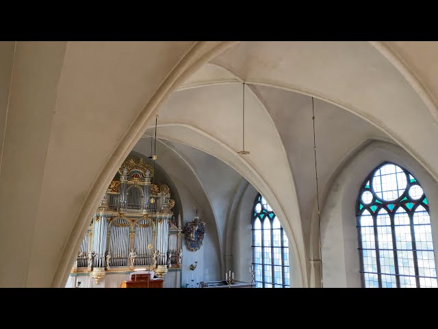 Opening Concert – Anna Steppler, organ – Mariestad Cathedral – Oct 11, 2023, 12:00