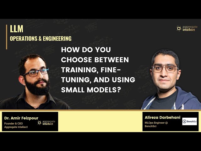 How Do You choose between training, fine-tuning, and using small models?