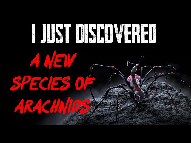 "I Have Discovered A New Species of Arachnid" | Creepypasta | Horror Story