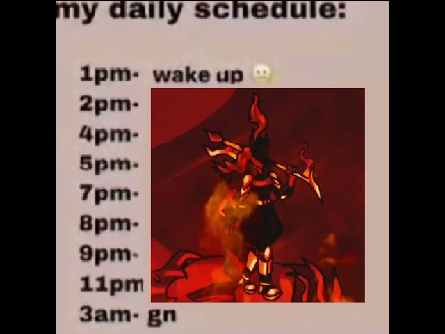 daily schedule