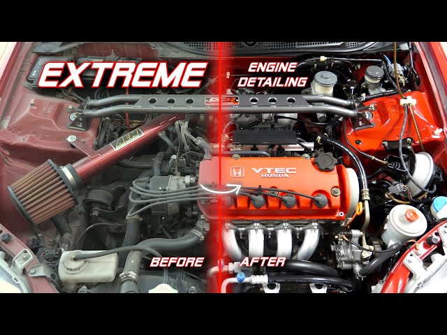 Honda Civic EXTREME Engine Bay Detail | Like NEW Again!