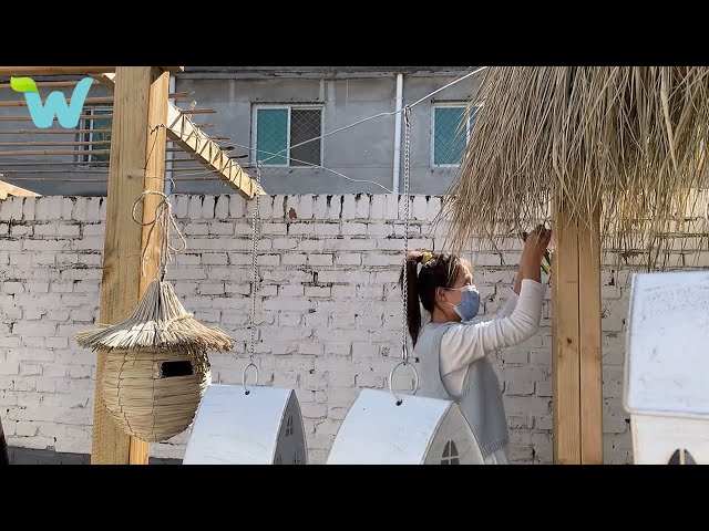 The girl renovates the garden into a play area for her children | WU Vlog ▶ 29