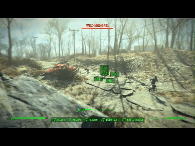Fallout 4 Dogs chasing the farmer
