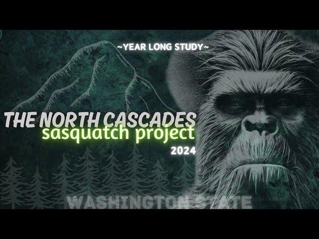 The North Cascade Sasquatch Project  |  2024