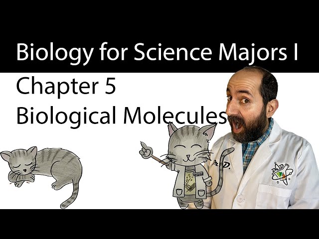 Chapter 5 – The Structure and Function of Large Biological Molecules