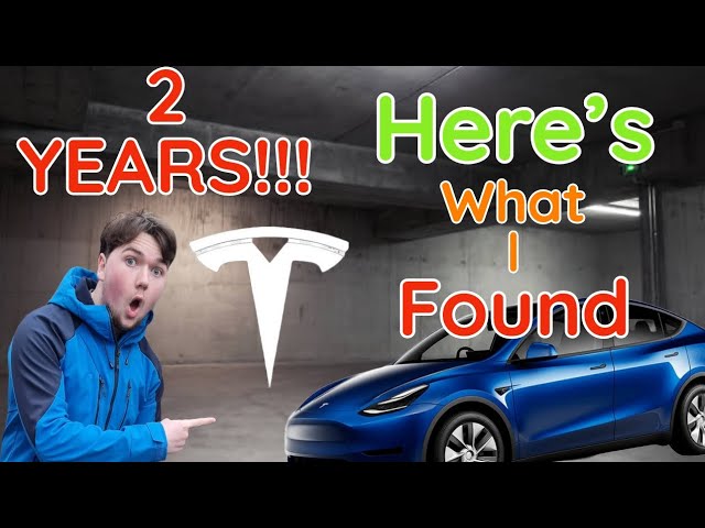 After 2 YEARS of driving my TESLA, Here's what I found : pros, cons and conclusion