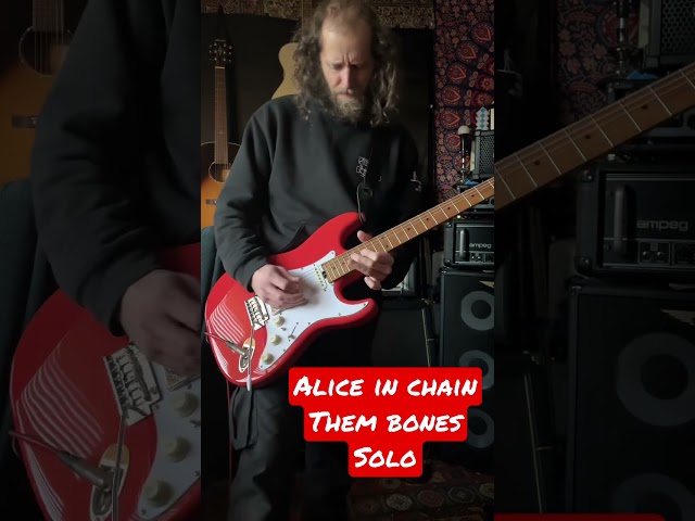 Alice In Chains - Them Bones Solo Cover