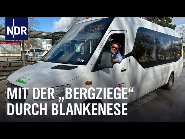 Buslinie 488: Mit der "Bergziege" durch Hamburg-Blankenese | Die Nordreportage | NDR Doku