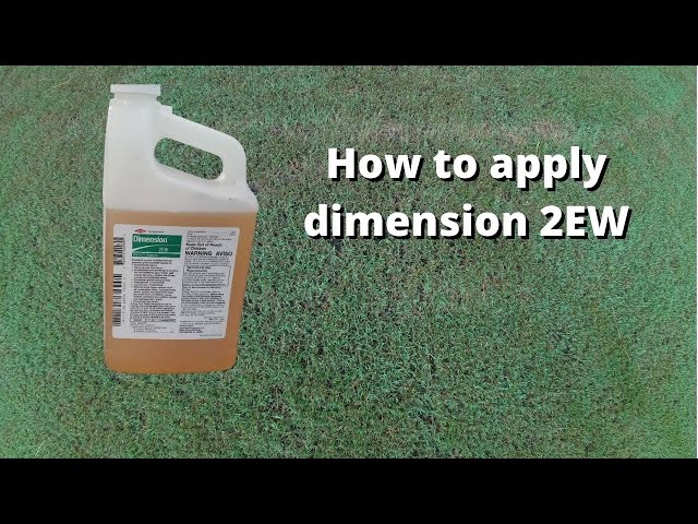 How to apply Dimension 2EW herbicide on your lawn