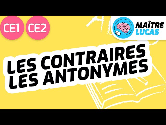 Les contraires - antonymes CE1 - CE2 - Cycle 2 - Français - Lexique - Vocabulaire