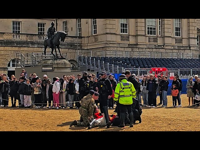 KING'S GUARD IS THROWN TO THE GROUND AND HORSES ESCAPE. An extraordinary morning at Horse Guards!