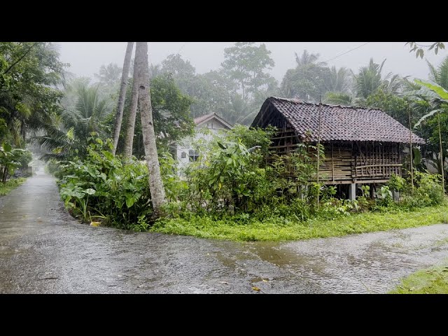 Beautiful and Cool Rain Village | Walk in the village of Indonesian Life | Recommended For Insomnia