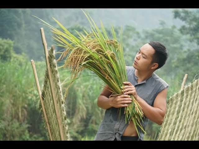 Primitive Skills: How to Harvest Rice? part3: tool