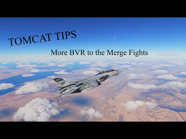 Shiny's DCS Tomcat Tips: From BVR to the Merge Part 2