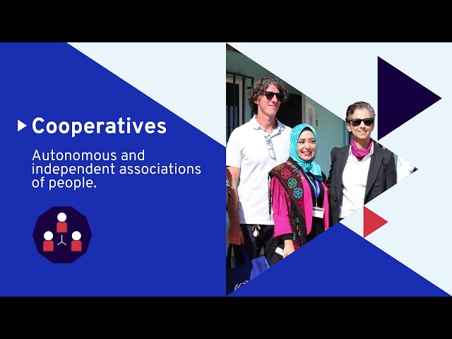 The role of cooperatives in forced displacement (Short Version)