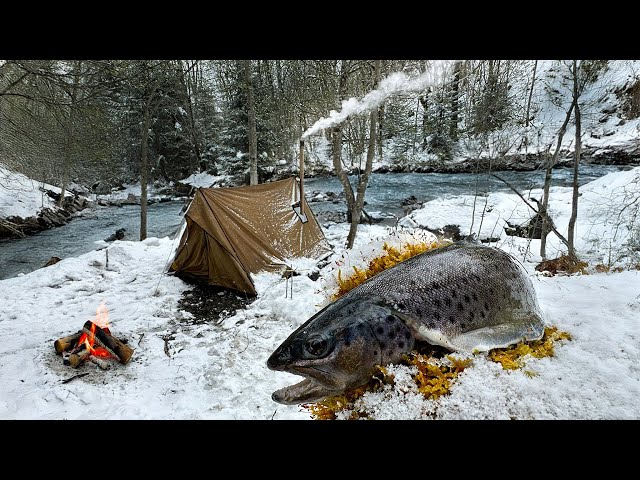 Hot Tent Camping  in deep Winter & Catch and Cook