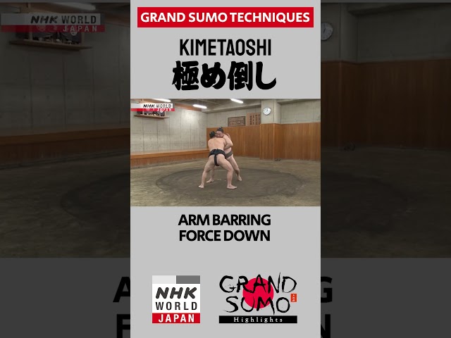#Sumo Technique: KIMETAOSHI