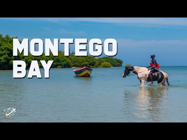 Top 15 Things to do in Montego Bay | The Planet D | Jamaica Travel Vlog