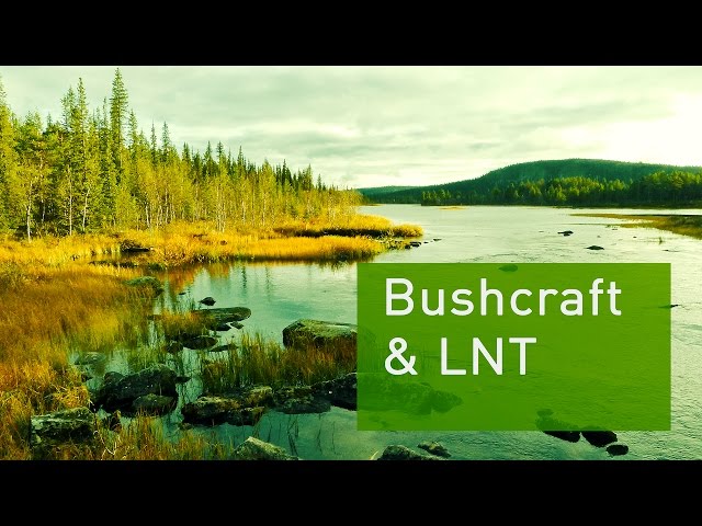 Bushcraft vs LNT