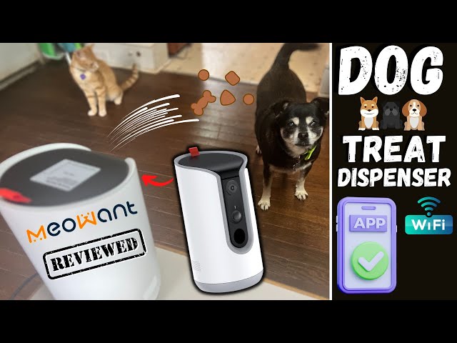 Dog Treat Dispenser with Wi-Fi Camera Amazon - Setup/Review