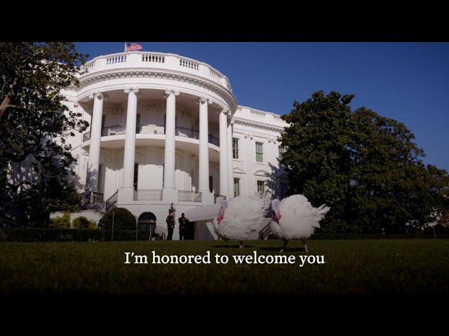 President Biden Pardons the 2021 White House Turkeys