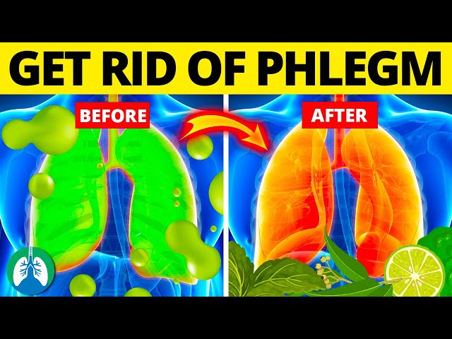 Top 7 Unknown Herbs to Get Rid of Phlegm and Mucus in Your Throat