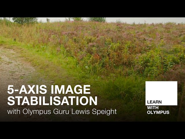 Image Stabilisation with Lewis Speight