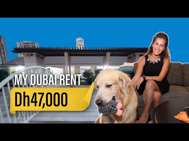 My Dubai Rent: PR executive rents Dh47,000 one-bedroom apartment