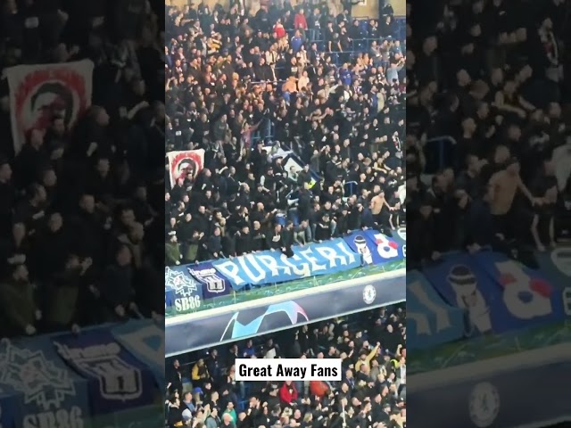 Mad Dinamo Zagreb Away Fans At Chelsea Stamford Bridge, #shorts