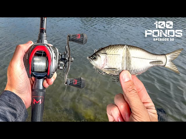 Throwing a SWIMBAIT Saved My Fishing Day! (100 Ponds Ep. 32)