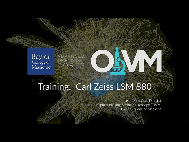 Training:  Carl Zeiss LSM 880 Confocal Microscope