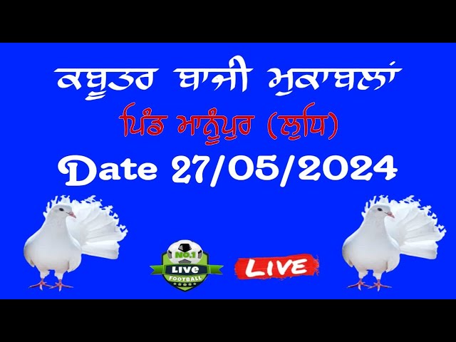 🔴[Live] KABBUTAR BAJI MUKABLA VILL MANUPUR (LDH) DATE 27/05/2024