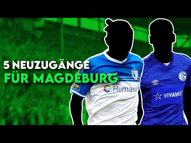 1. FC Magdeburg: 5 Transfers für den Klassenerhalt in der 2. Bundesliga!