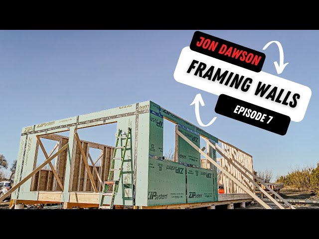 Framing walls | Off Grid Build Ep 7.