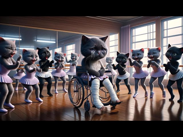Cat 😿Fight For Ballet Dream✨🩰