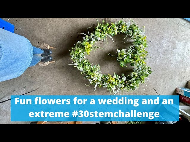 Join me cutting flowers as part of a team for a wedding. Watch to the end  for fab #30stemchallenge