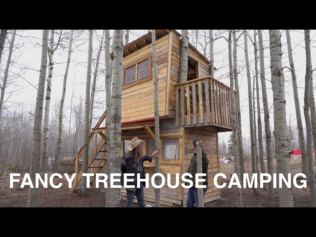 Fancy Treehouse Camping