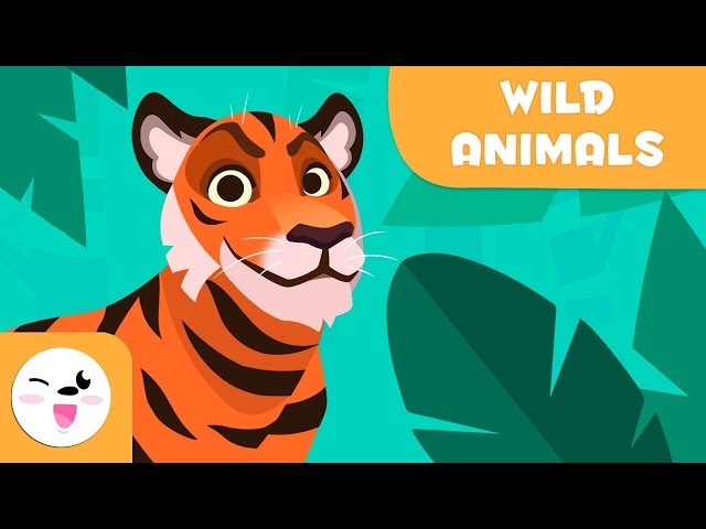 Wild animals for kids - Vocabulary for kids