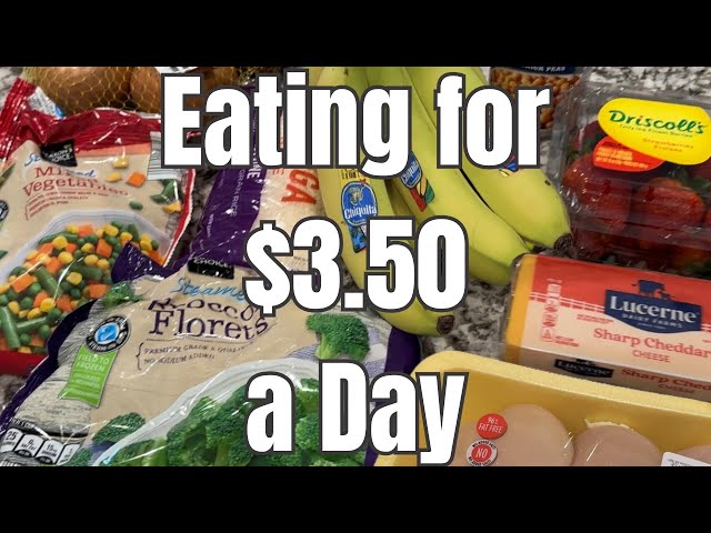 $25 for 7 Days | Easy and Delicious Recipes | Emergency Grocery Budget