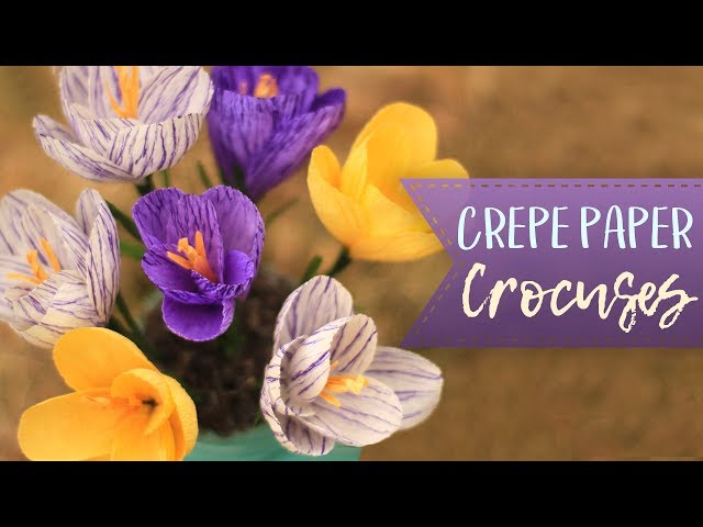 Crepe Paper Crocus Flower Tutorial