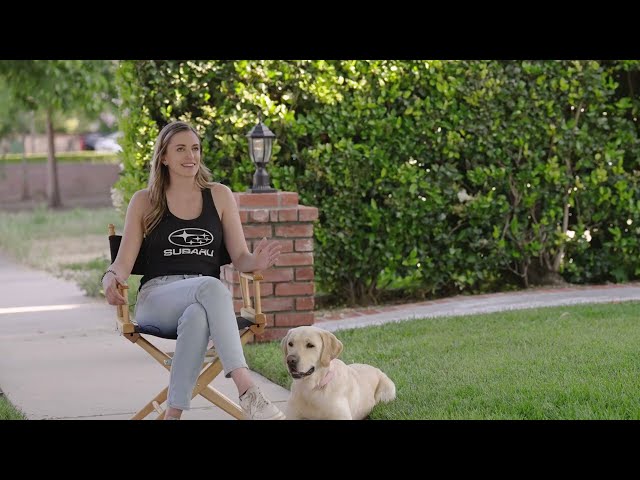 Subaru Dog Tested | Trainer Interviews