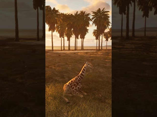 A Giraffe Sleeping on the Beach #shorts #primalearth #thehunted #animalia