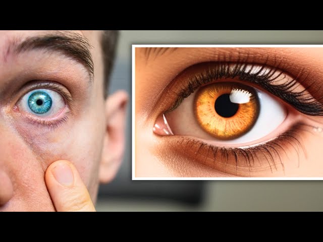 The Rarest Eye Colors in the World - Eye Colors Explained