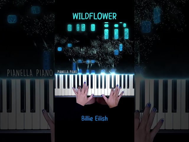 Billie Eilish - WILDFLOWER Piano Cover #WILDFLOWER #BillieEilish #PianellaPianoShorts