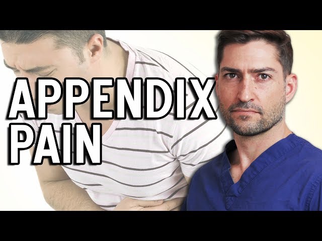 What Is Appendix Pain & Where Is The Pain Located?