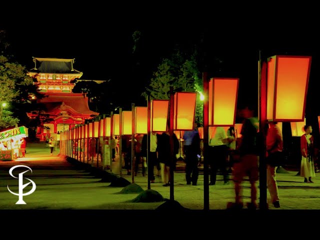 [City Ambience] A lantern that illuminates the Tsuruoka Hachimangu Shrine in Summer./#Ambience