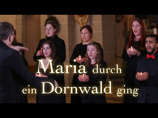 "Maria durch ein Dornwald ging", Gordon Hamilton, Uni-Vokalensemble Koblenz