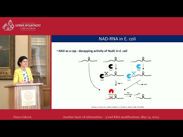 Hana Cahová: Another layer of information – 5’end RNA modifications